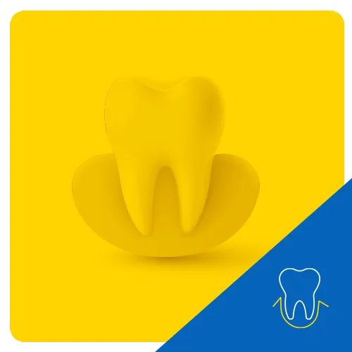 Gráfico 3D de un diente molar elevándose desde una base circular sobre un fondo amarillo, representando la emergencia o protección del diente.