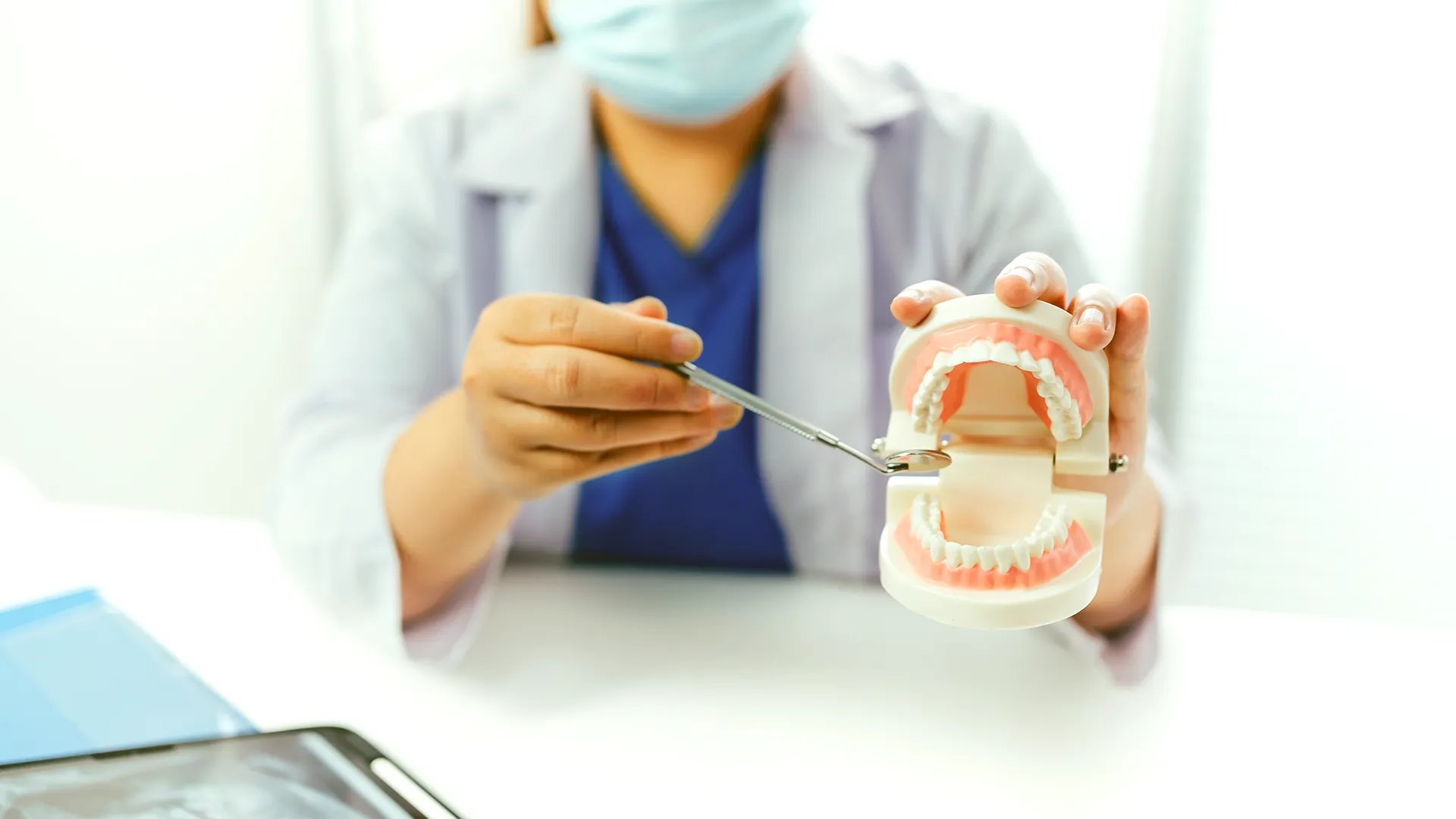 Dentist holding a tooth model next to a dental mirror.
