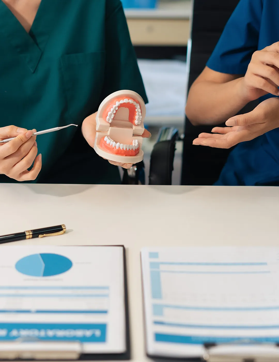 Dentista sosteniendo un modelo de diente mientras otro dentista está a su lado.